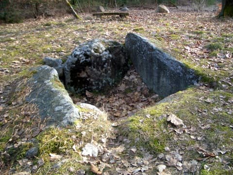 Die Rolfsener Steinkiste