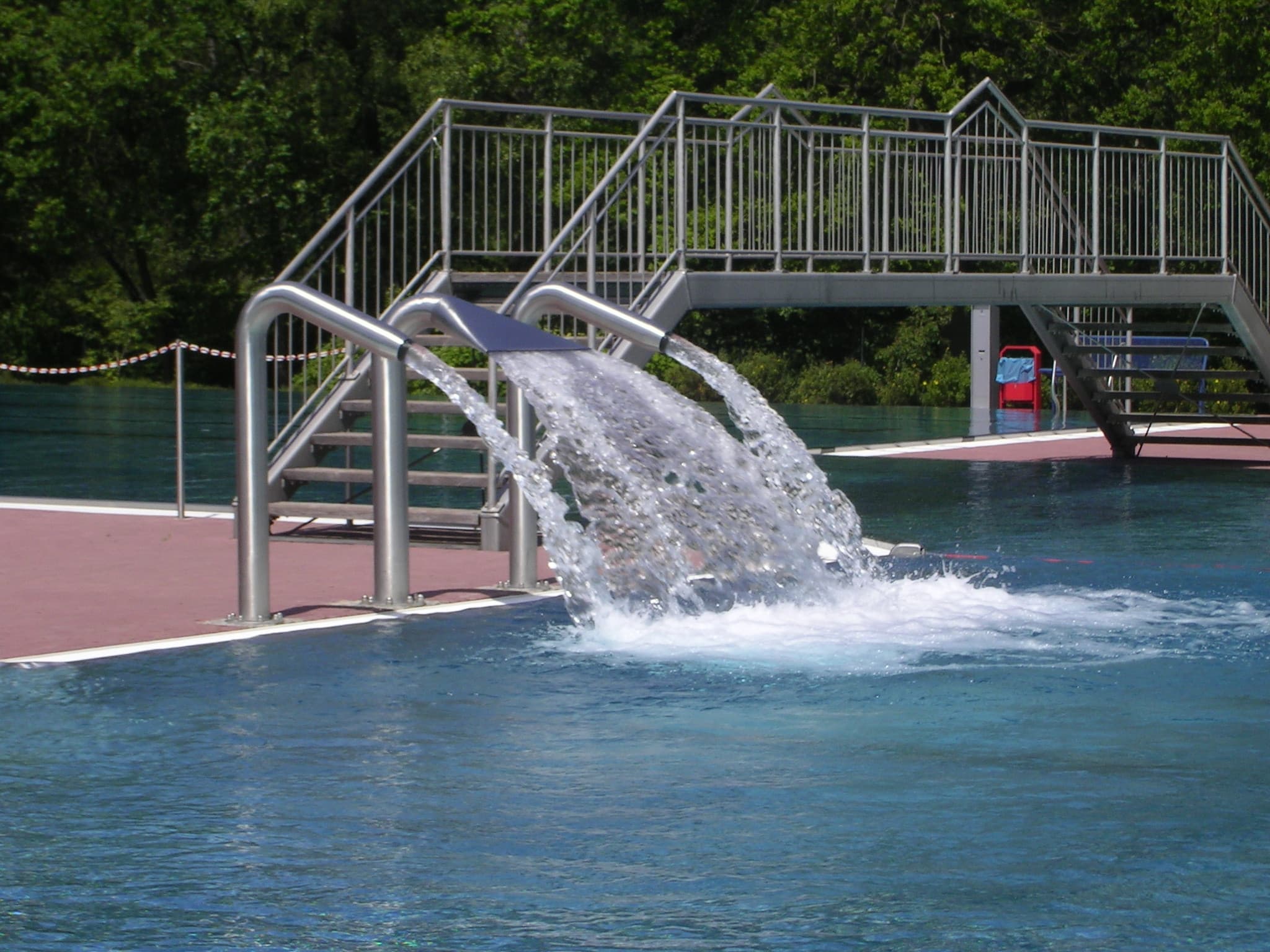 Wasser-Breitspeier im Lieth-Freibad in Bad Fallingbostel