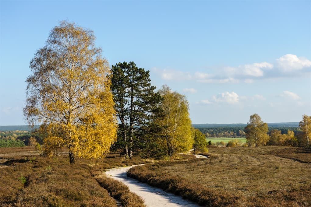 Ausblick vom Wietzer Berg