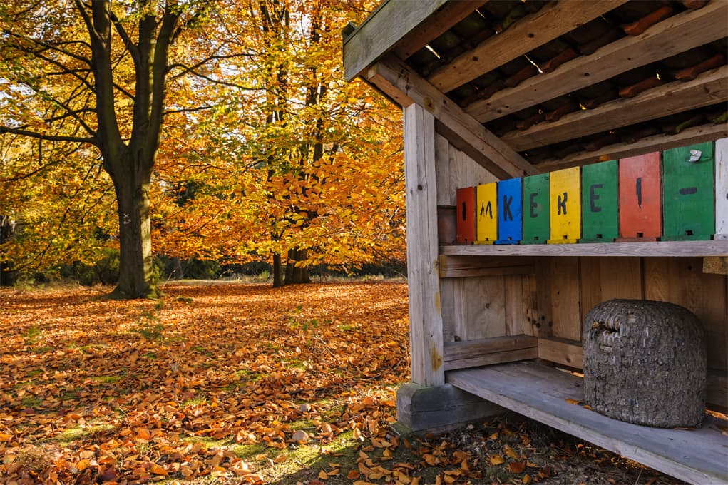 Bienenkorb auf dem Wietzer Berg am Heidschnuckenweg