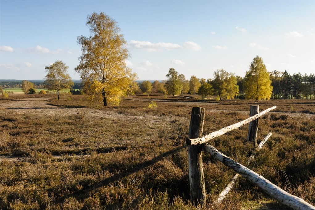 Wietzer Berg Oktober