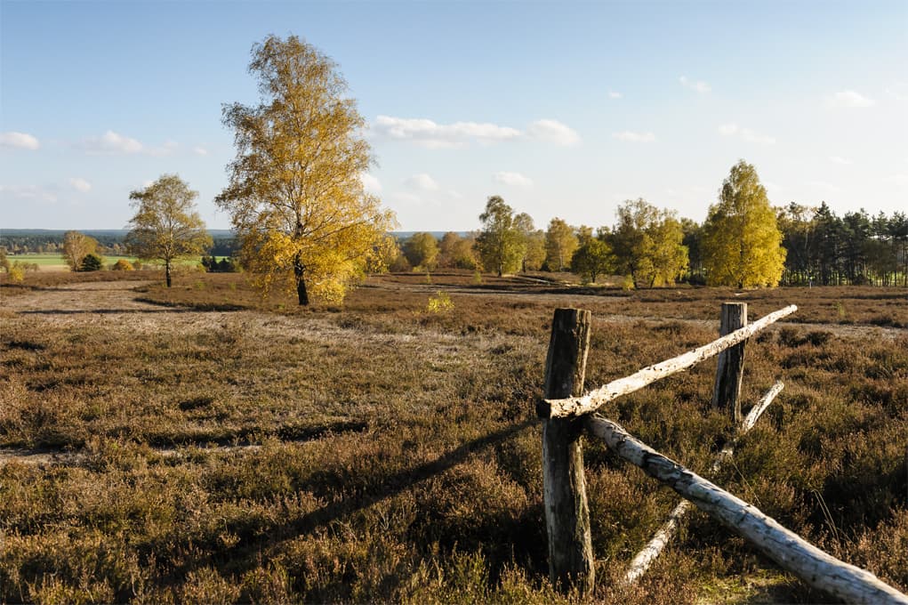 Wietzer Berg im Herbst