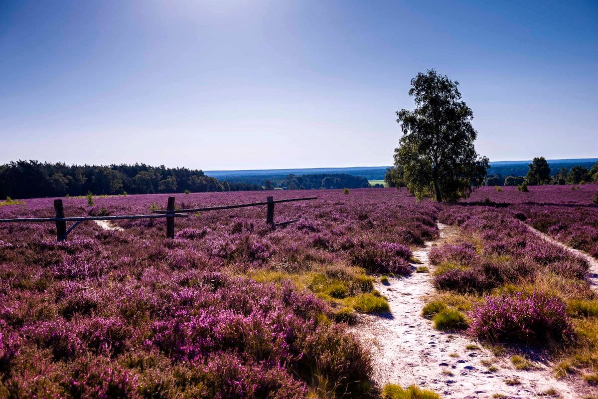 Wandergebiet Wietzer Berg bei Müden