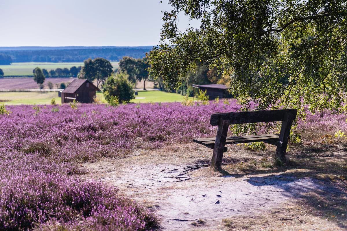 Weiter Blick vom Wietzer Berg