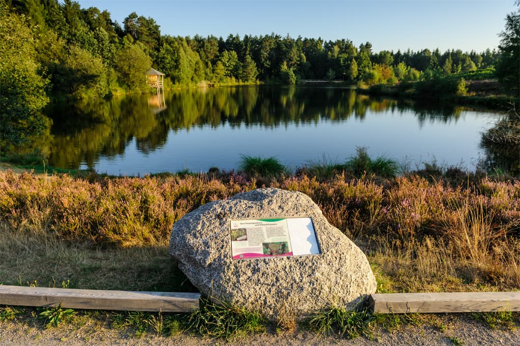 Angelbecksteich bei Hermannsburg Südheide