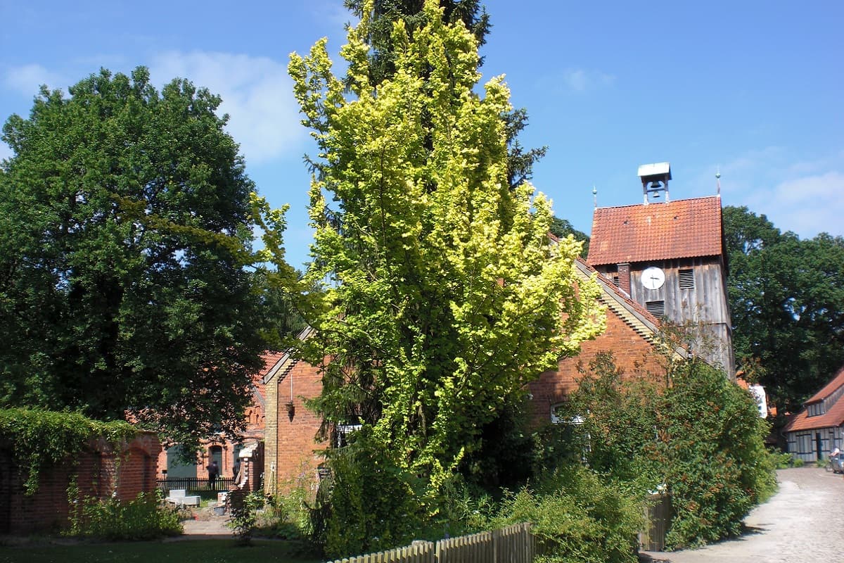 Der Glockenturm der St. Marienkirche Wienhausen