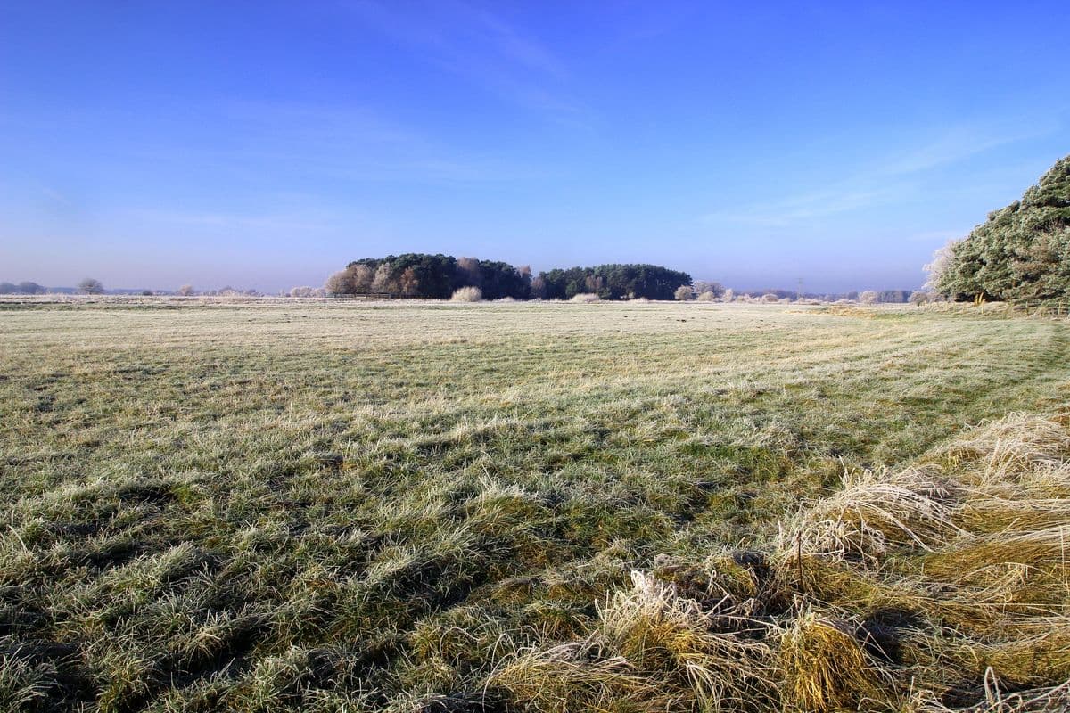 Hornbosteler Hutweide im November