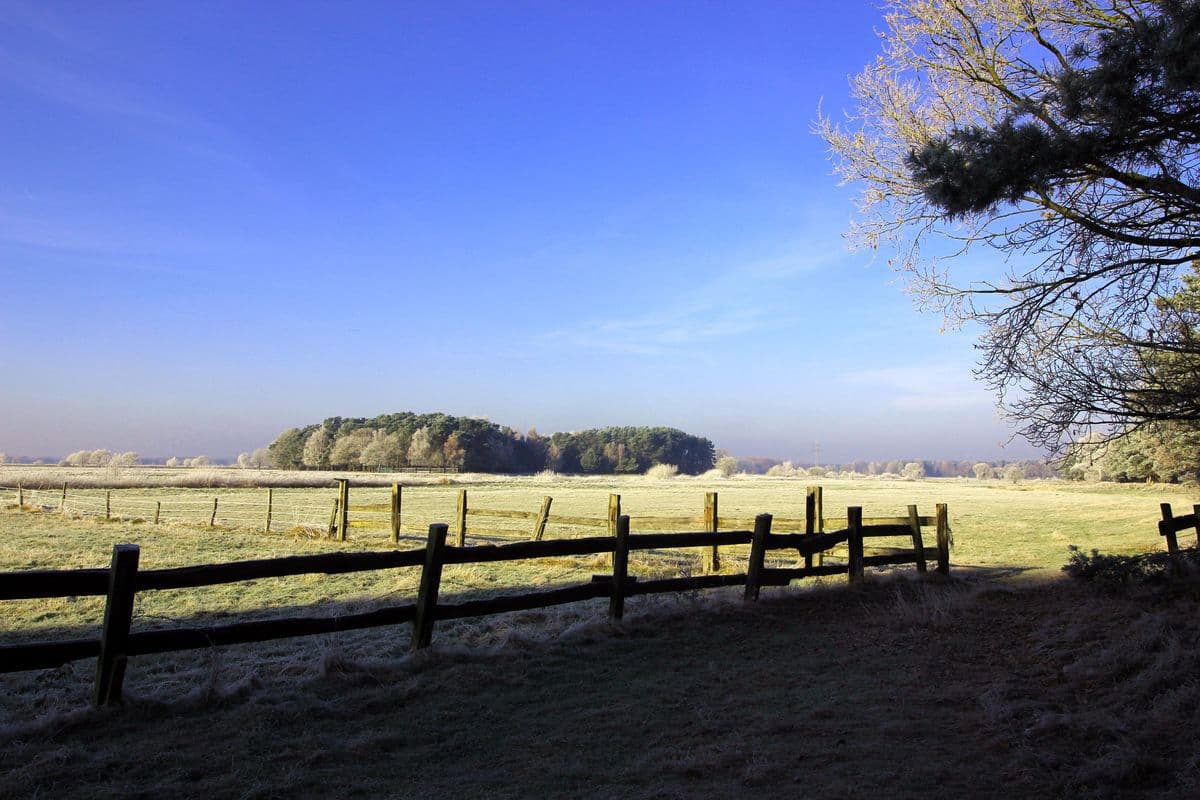 Hornbosteler Hutweide im November