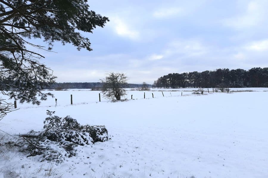 Hornbosteler Hutweide im Winter