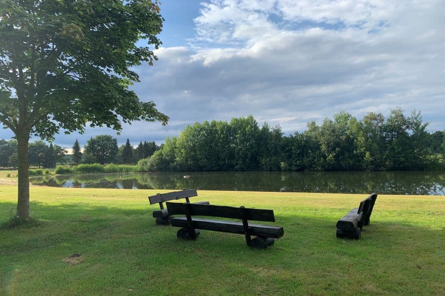 Ruhebänke mit Blick auf den stillgelegten alten Allerfluss