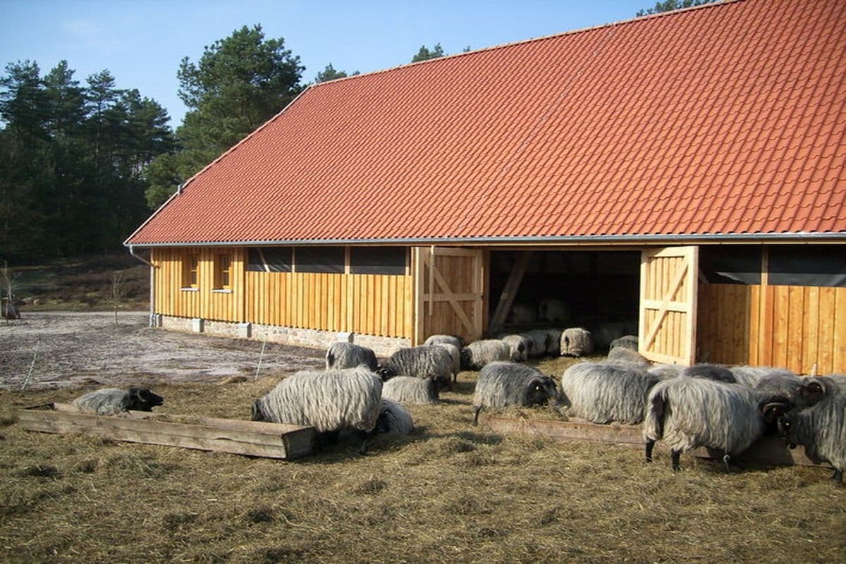 Heidschnuckenstall in der Kronsbergheide