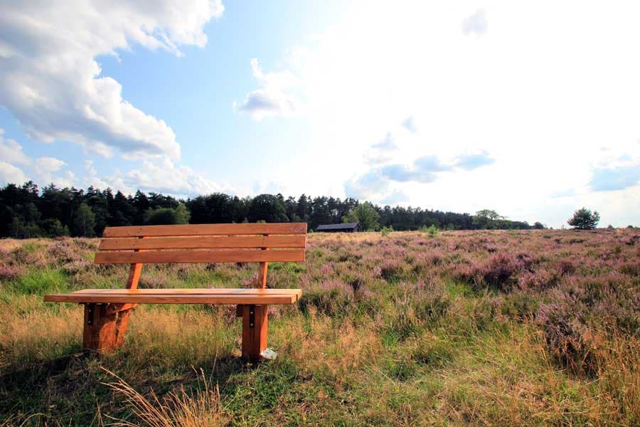 Bank in der Töps Heide Hanstedt