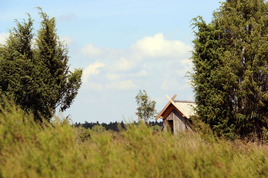 Töps Heide Hanstedt