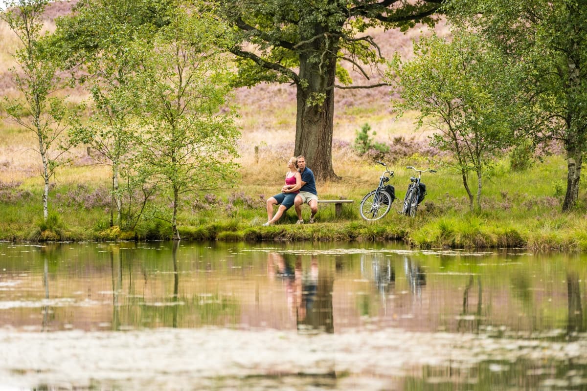 Weseler Heide Undeloh Pastorenteich