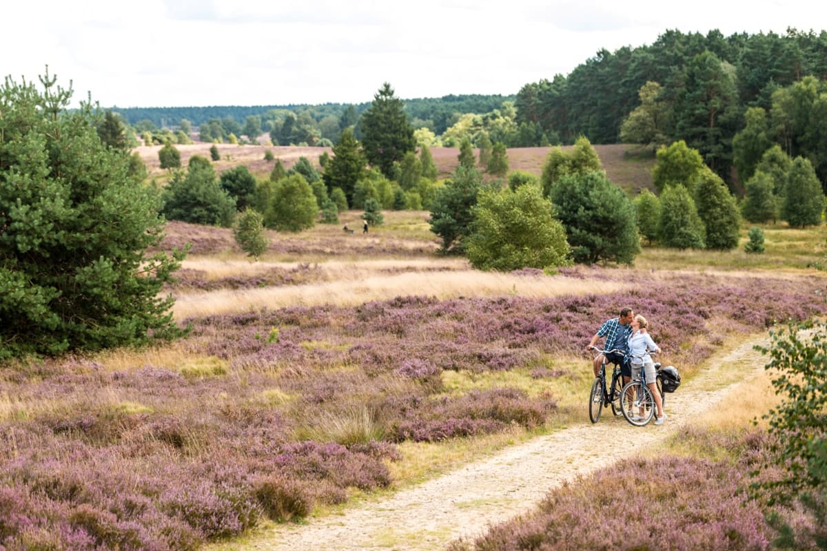 Weseler Heide Undeloh Radtour