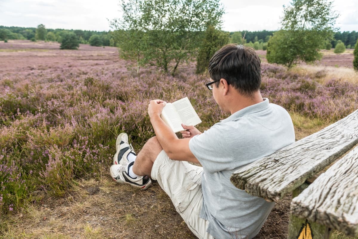 Weseler Heide Undeloh Pause