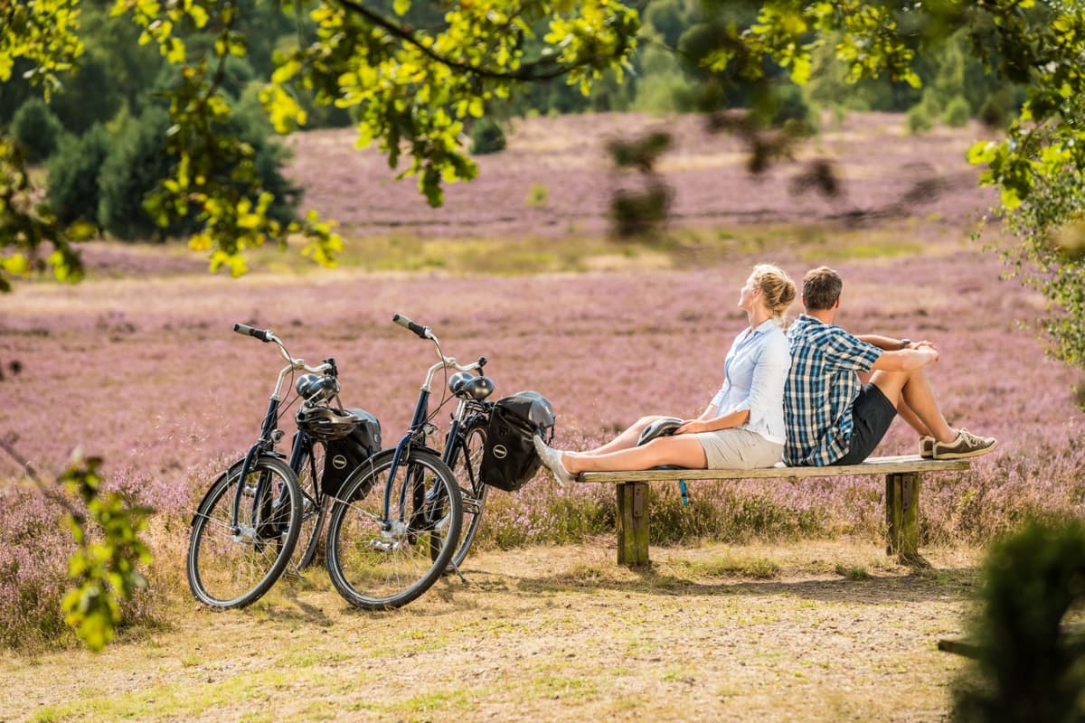 Weseler Heide Undeloh Rast