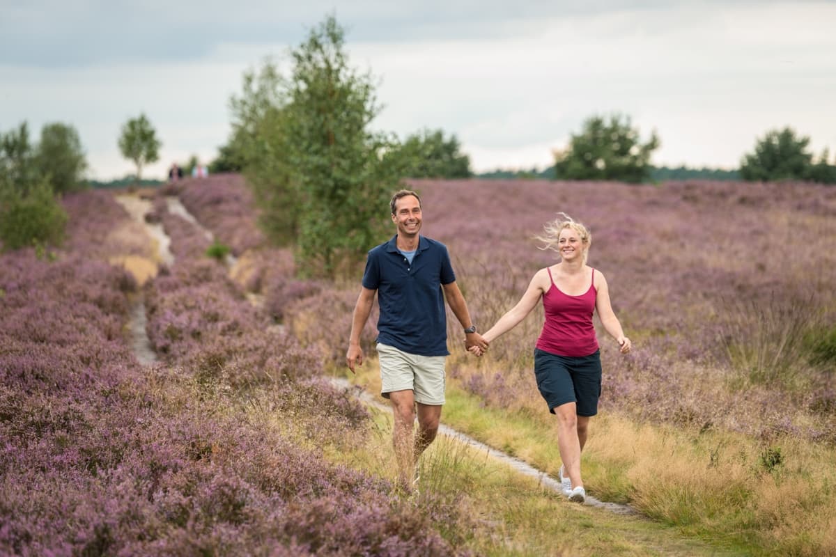 Weseler Heide Undeloh Wanderung