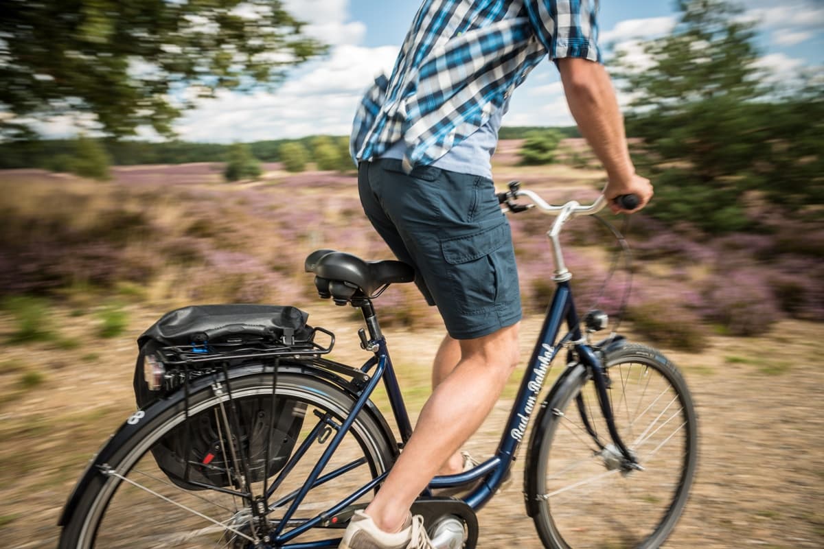 Weseler Heide Undeloh Radtour