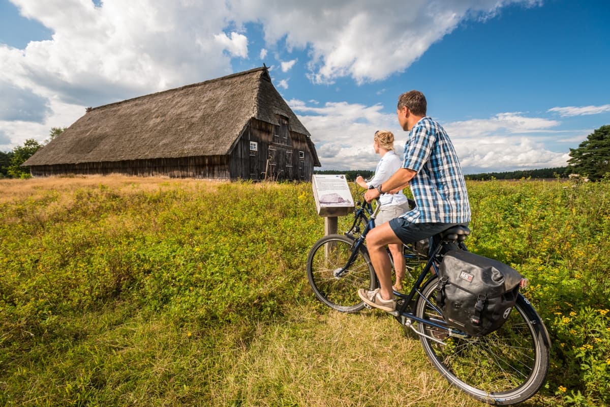 Weseler Heide Undeloh Schafstall Radtour