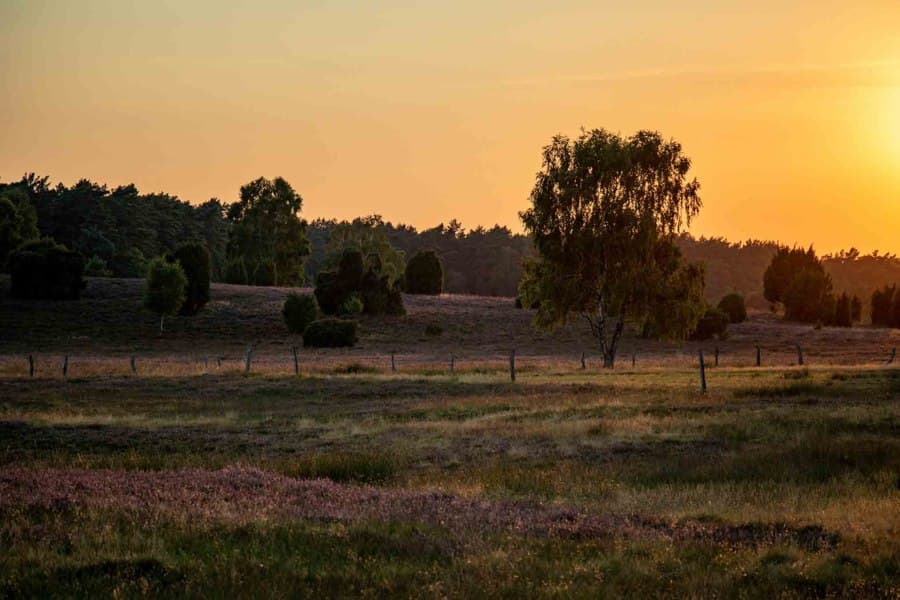 Die Döhler Heide ist besonders bei Sonnenuntergängen romantisch.