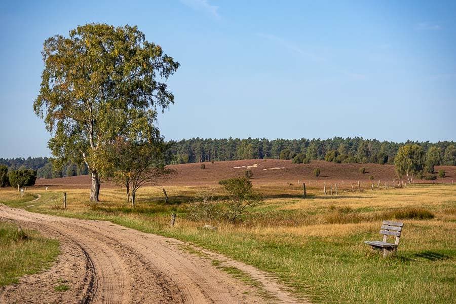 Am Schafstall vorbei, wandern Sie auf wunderschönen Sandwegen