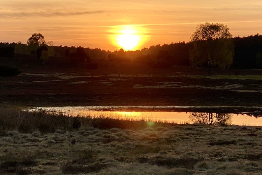 ... in der Döhler Heide bei Sonnenuntergang.