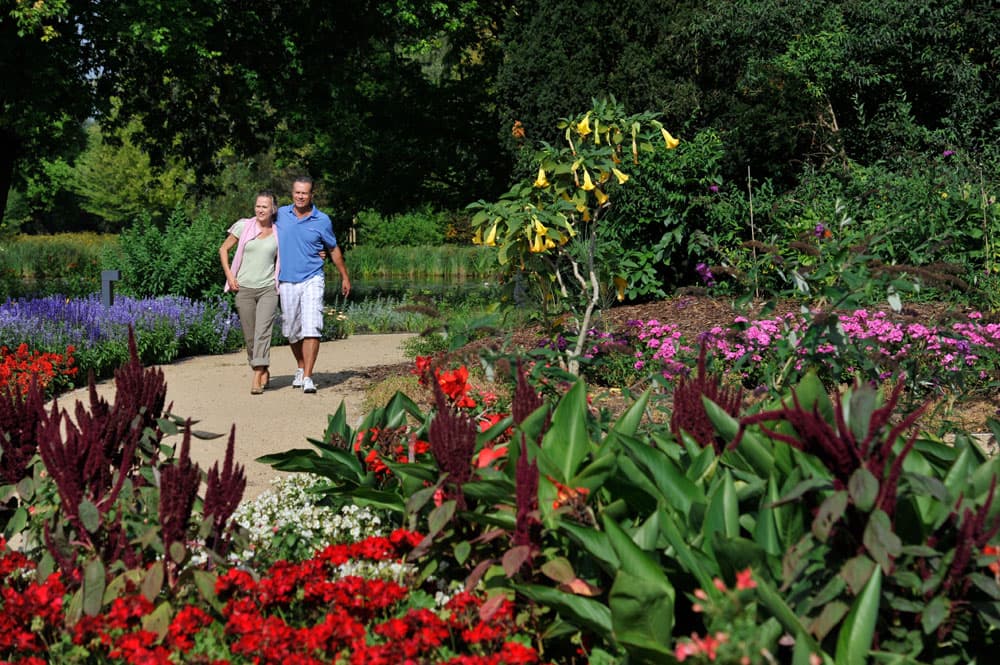 Blumenrabatten im Kurpark Bad Bevensen