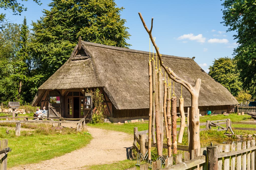 Wandern auf dem Heidschnuckenweg in der Fischbeker Heide