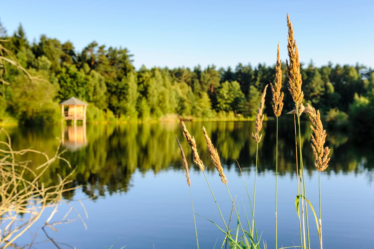 Seeidylle am Angelbecksteich bei Hermannsburg