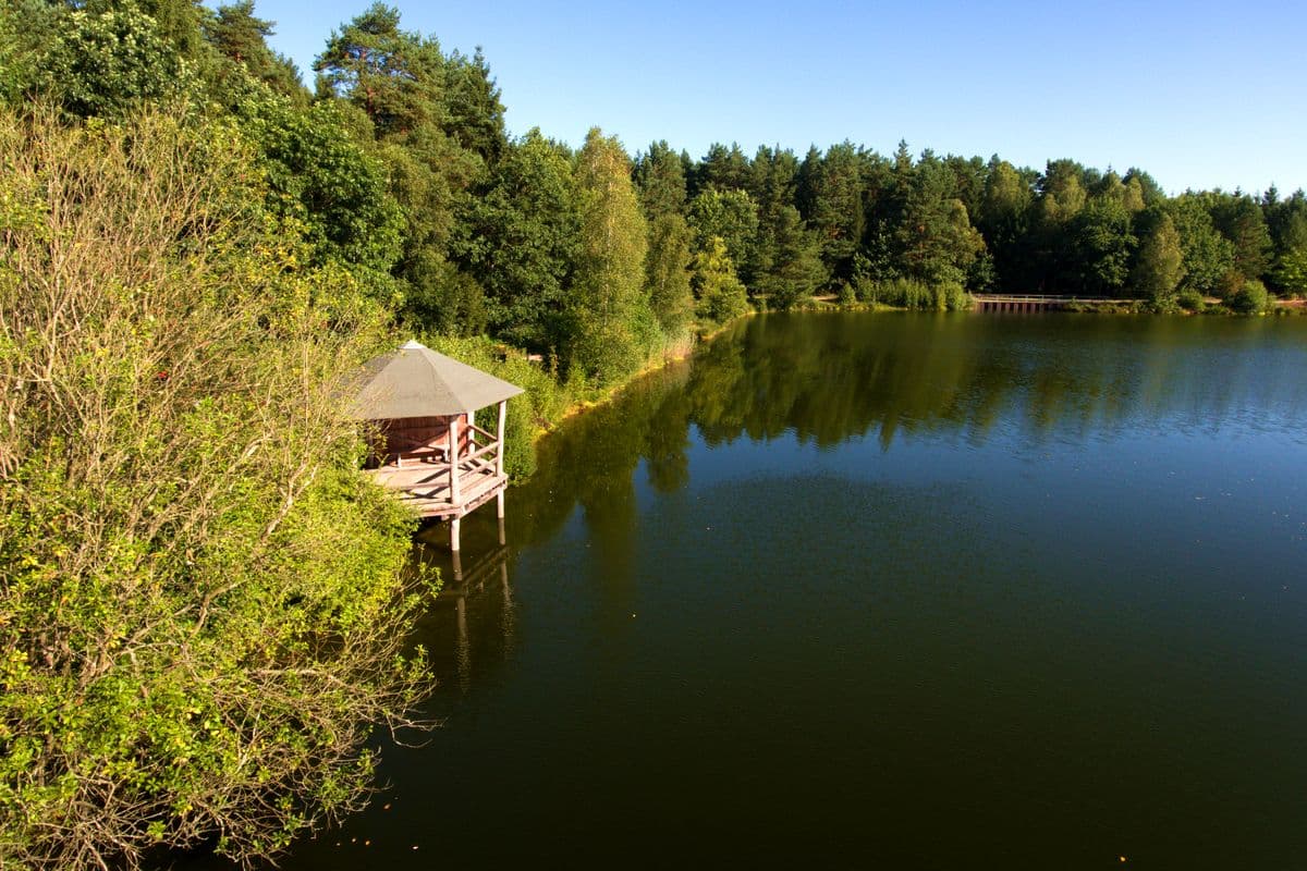 der angelbecksteich im süden der lüneburger heide