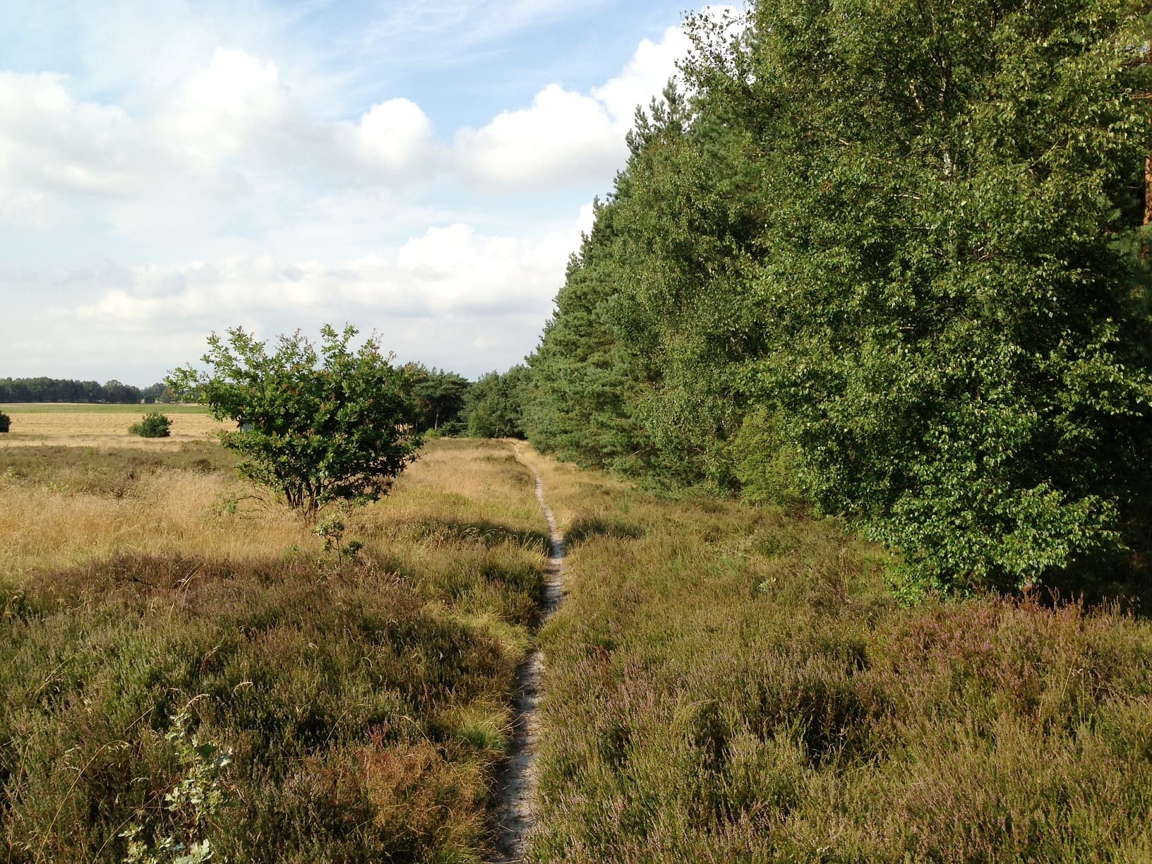 Dröge Heide Handeloh