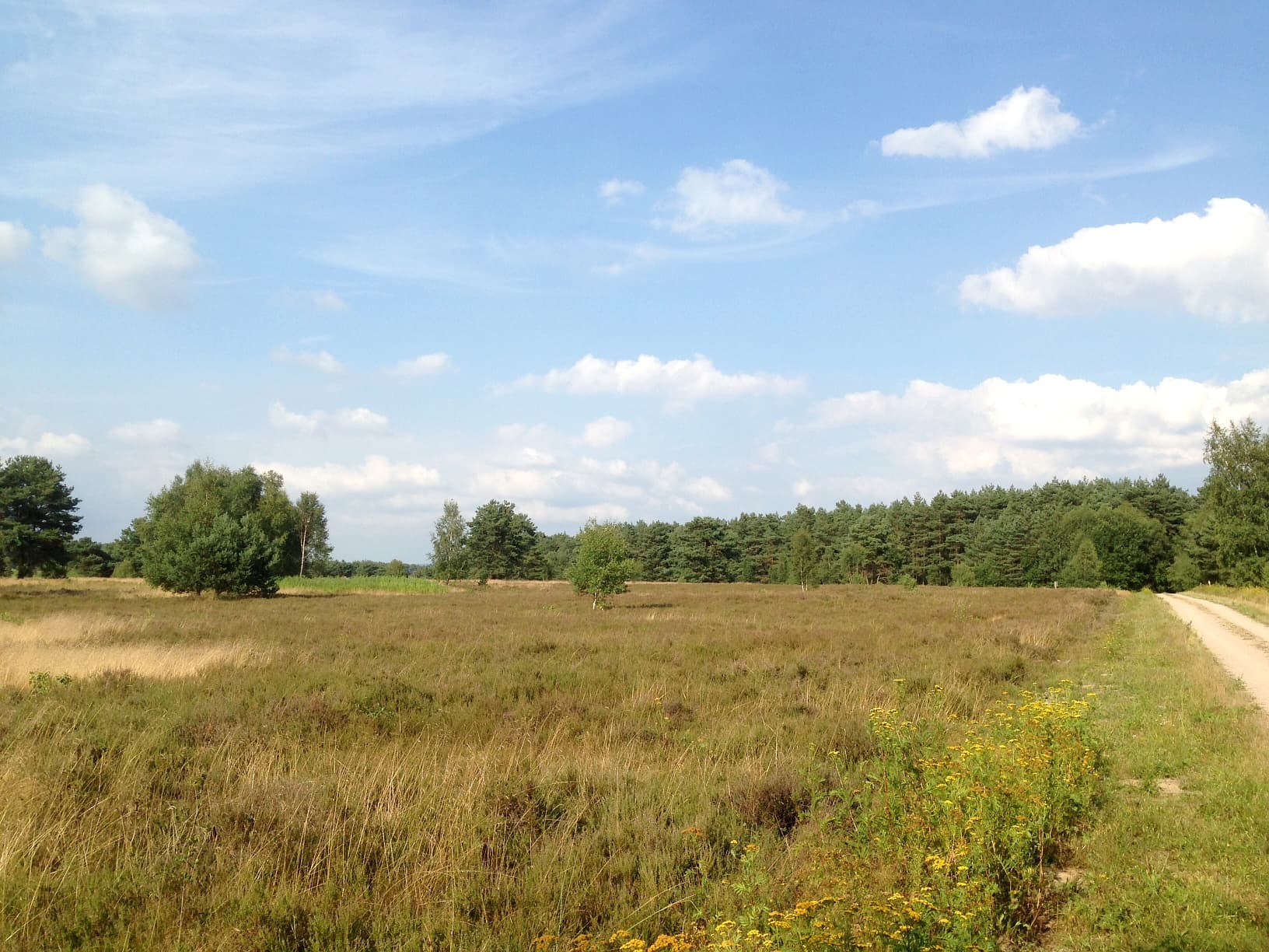 Dröge Heide Handeloh