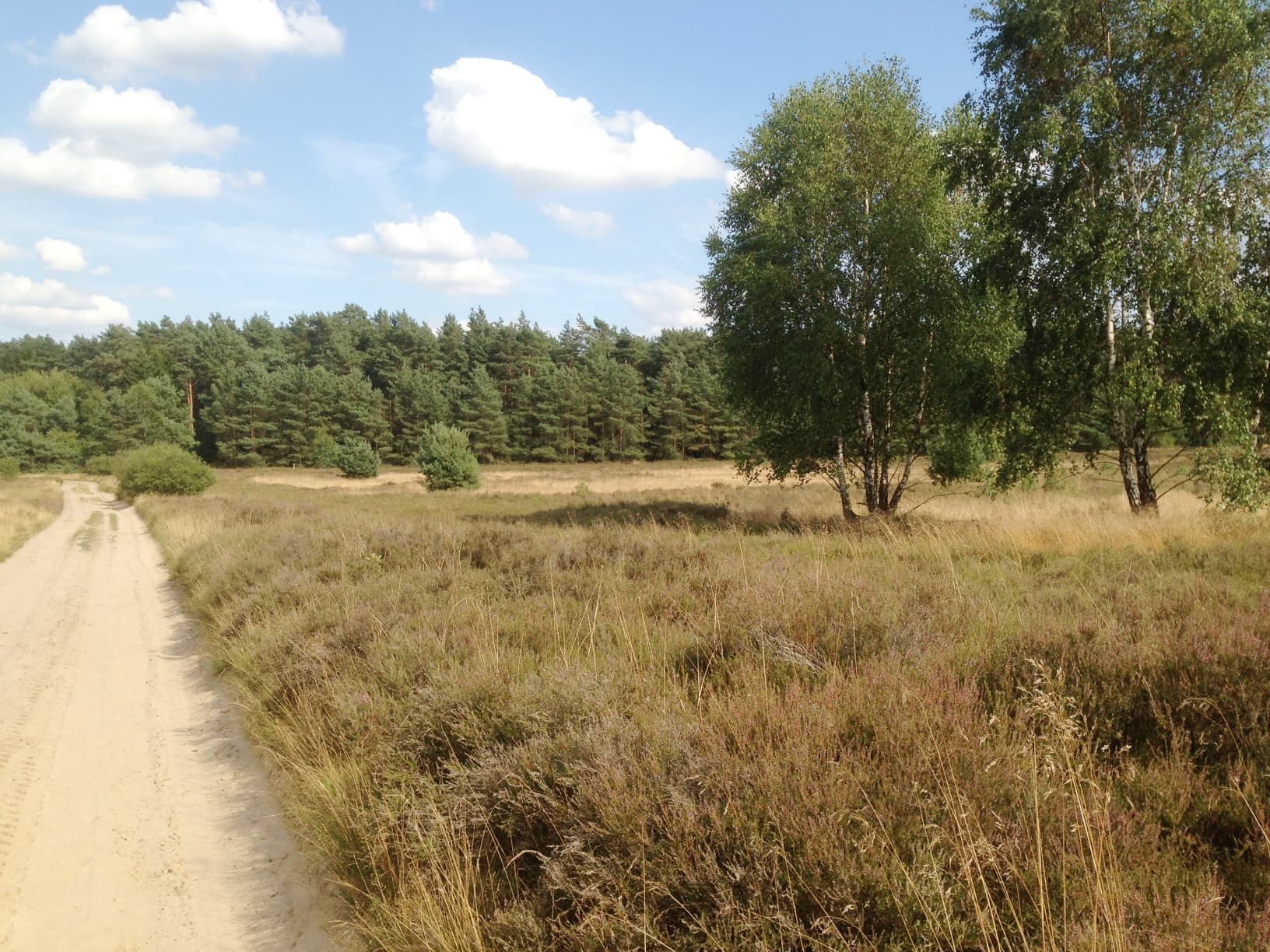 Dröge Heide Handeloh sandweg