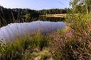 Kieselgur-Teich in der Oberoher Heide