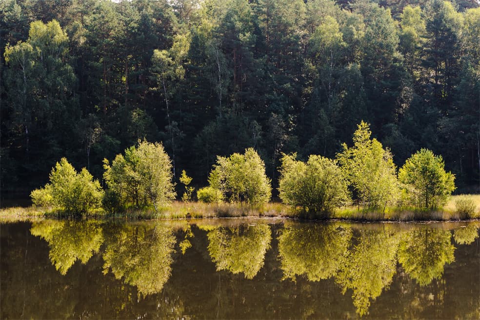 Kieselgur-Teich bei Oberohe