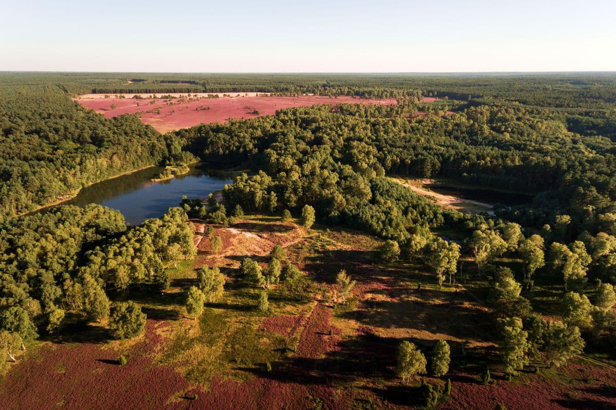 Luftbild der oberoher heide mit kieselgur teich