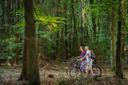 Radfahren im Lüßwald