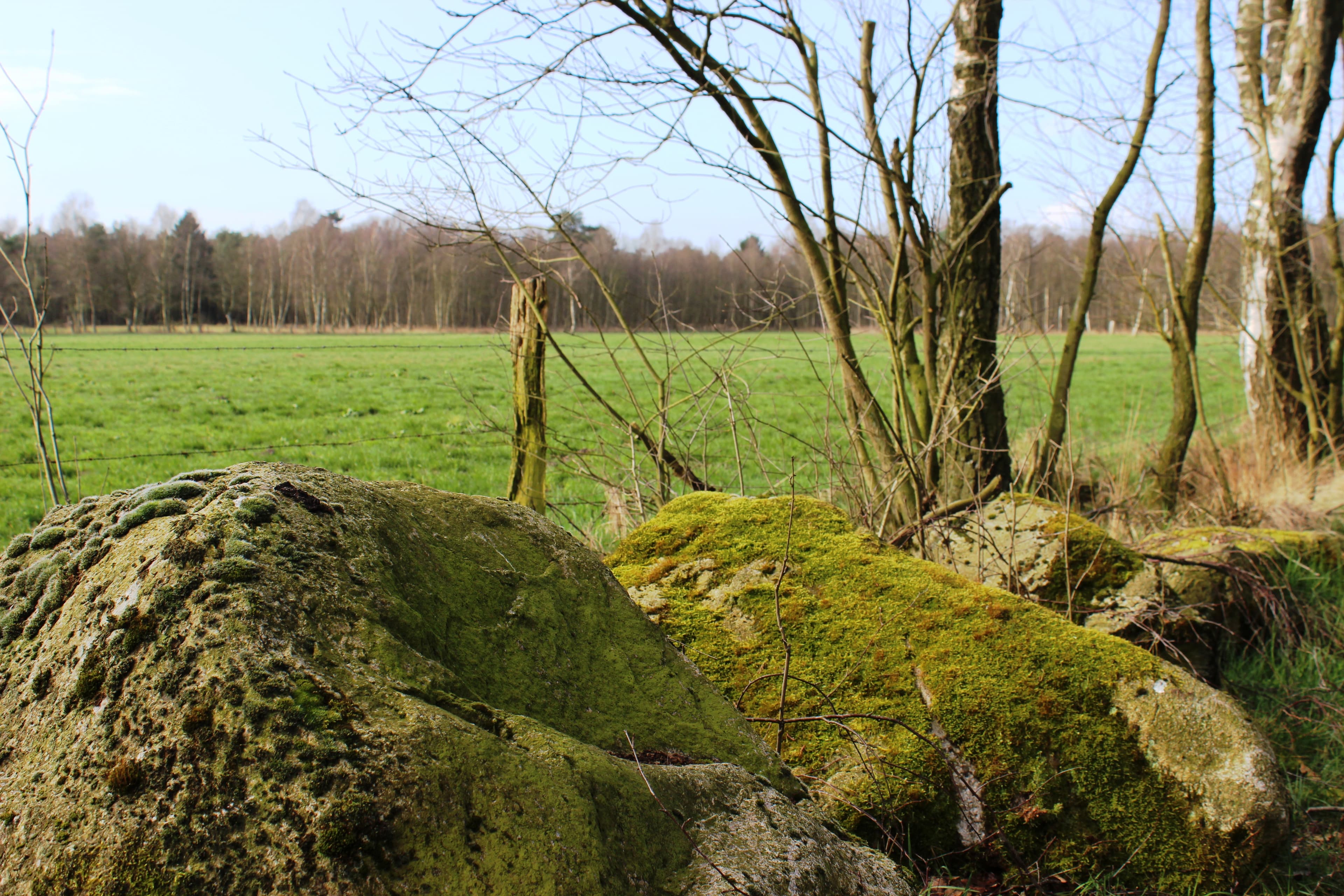 Großes Evestorfer Moor Findling