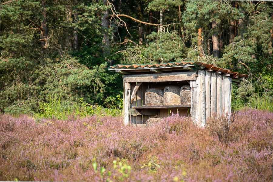 Bienenstand für den leckeren Heidehonig