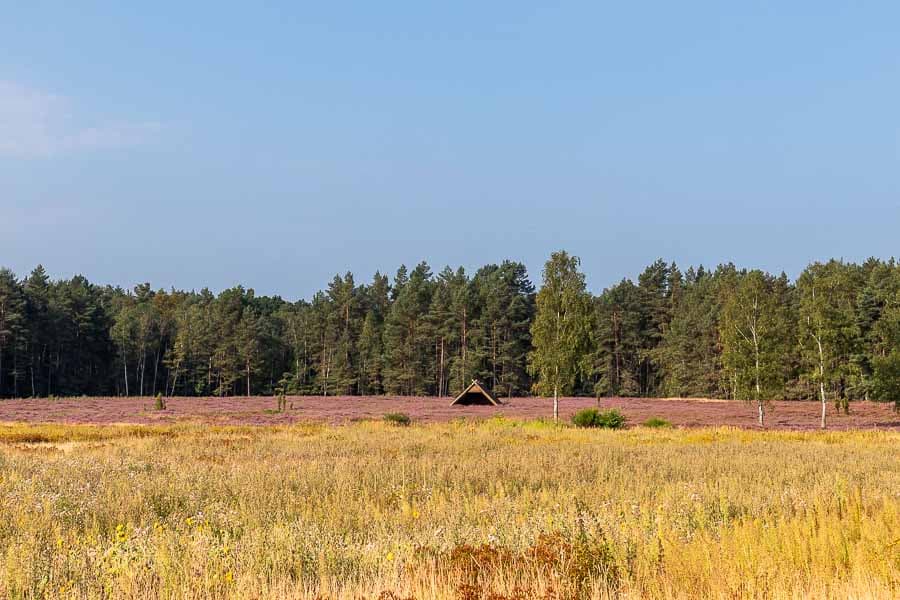 Die kleine Heidefläche aus der Ferne