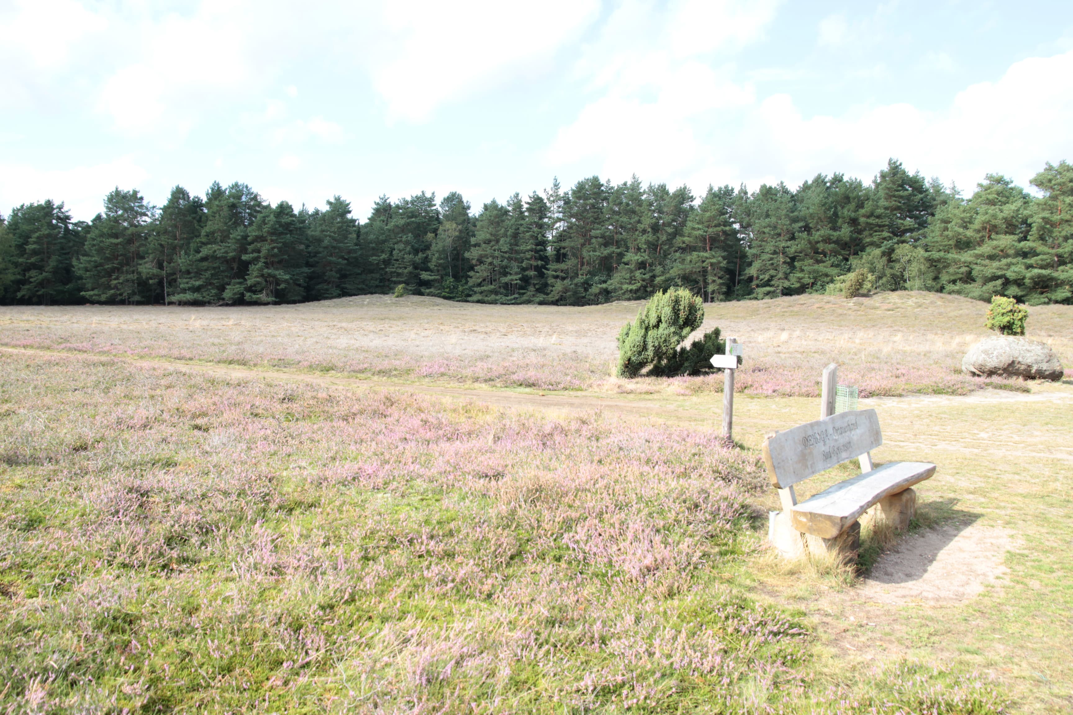 Hügelgräber Klein Bünstorfer Heide