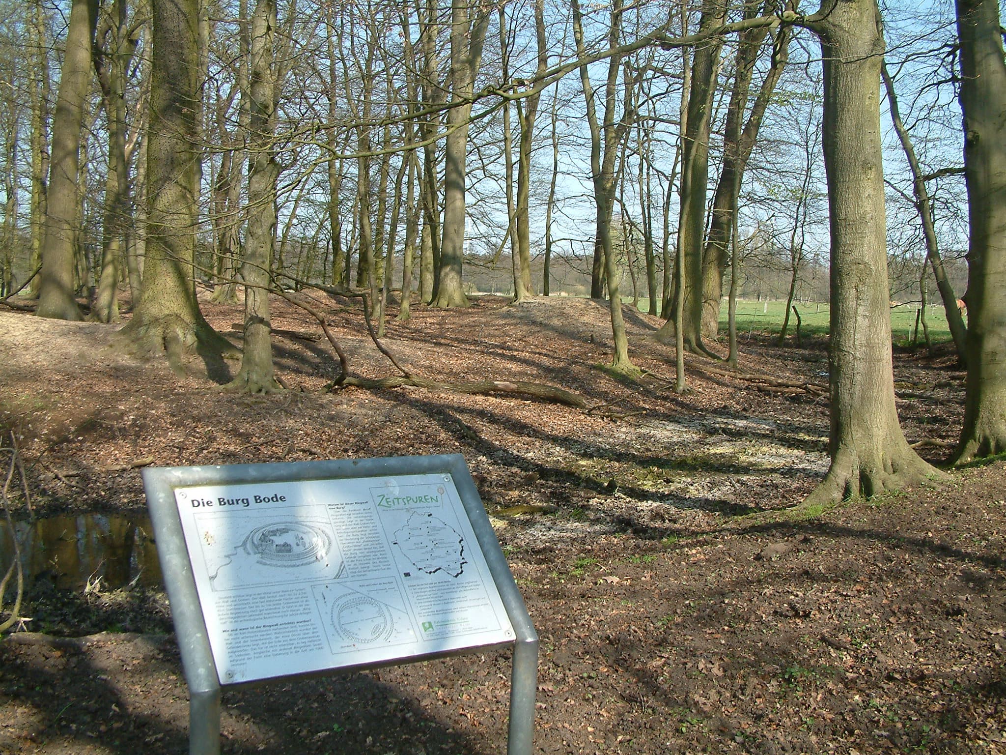 Ringwall Burg Bode
