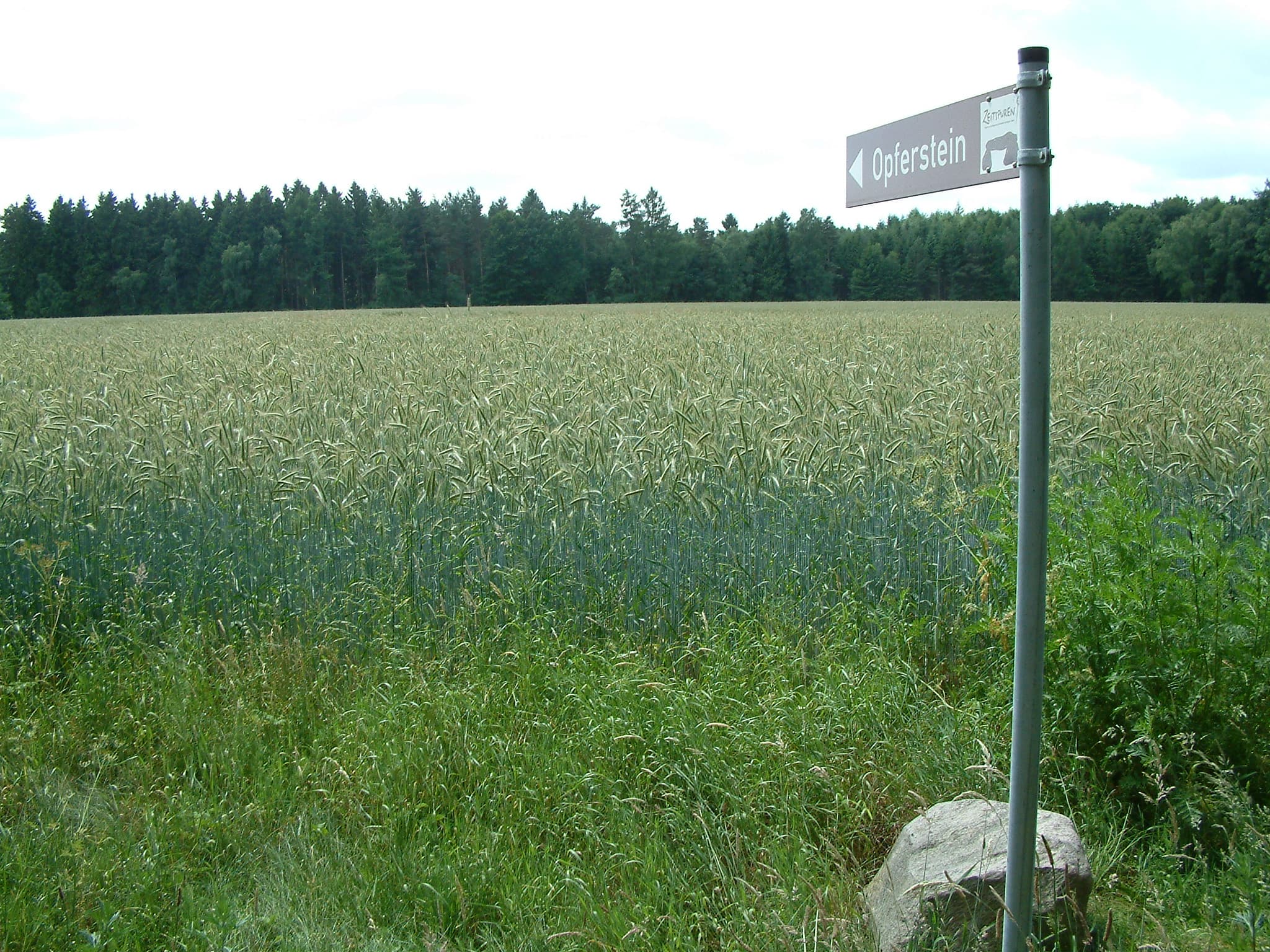 Opferstein Melzingen Feld