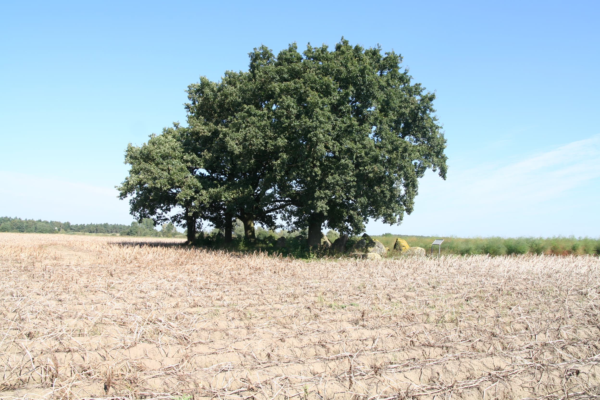 Großsteingrab Kahlstorf