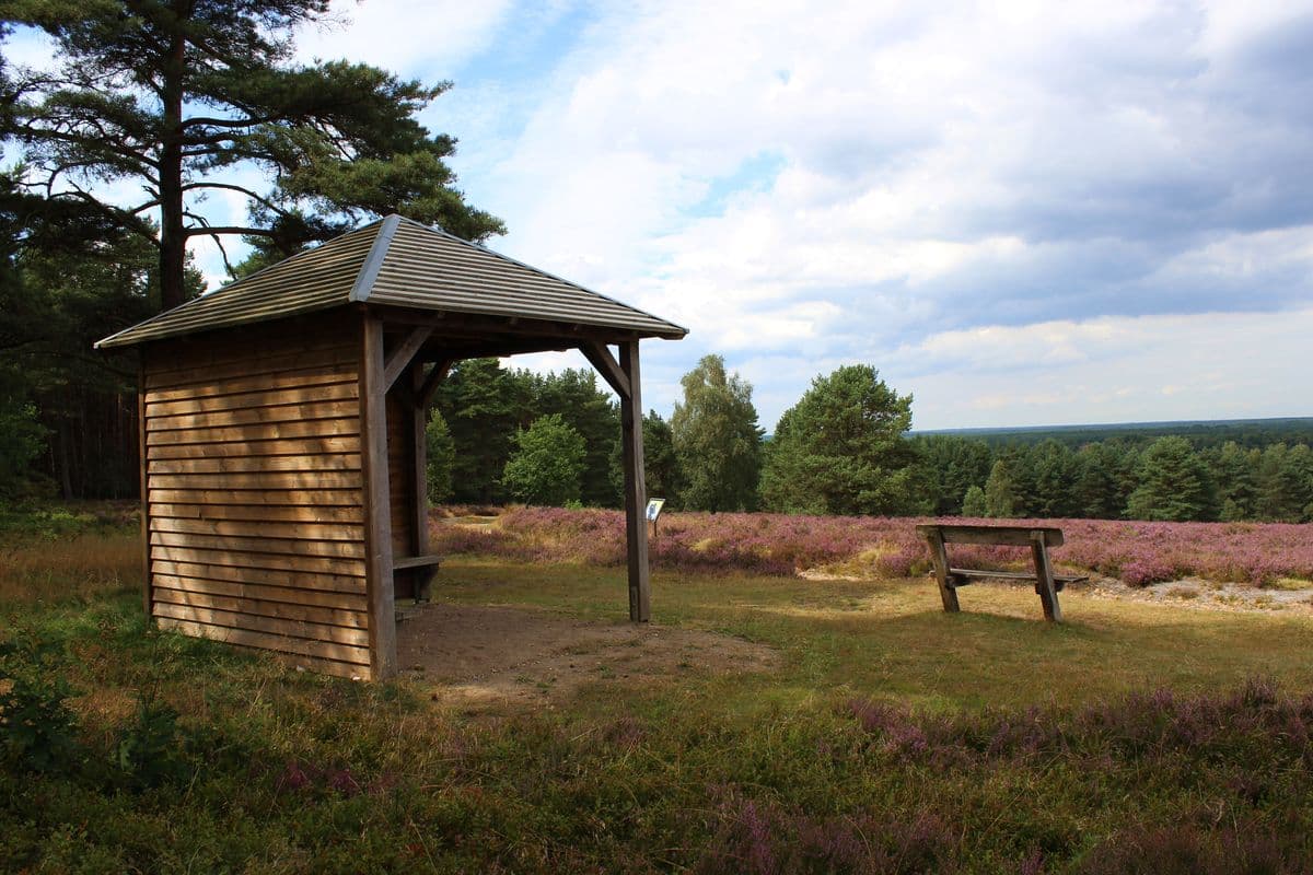 Schutzhütte am Hausselberg bei Müden (Örtze)