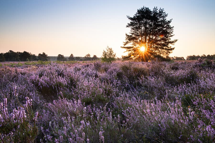 Sonnenaufgang am Haußelberg