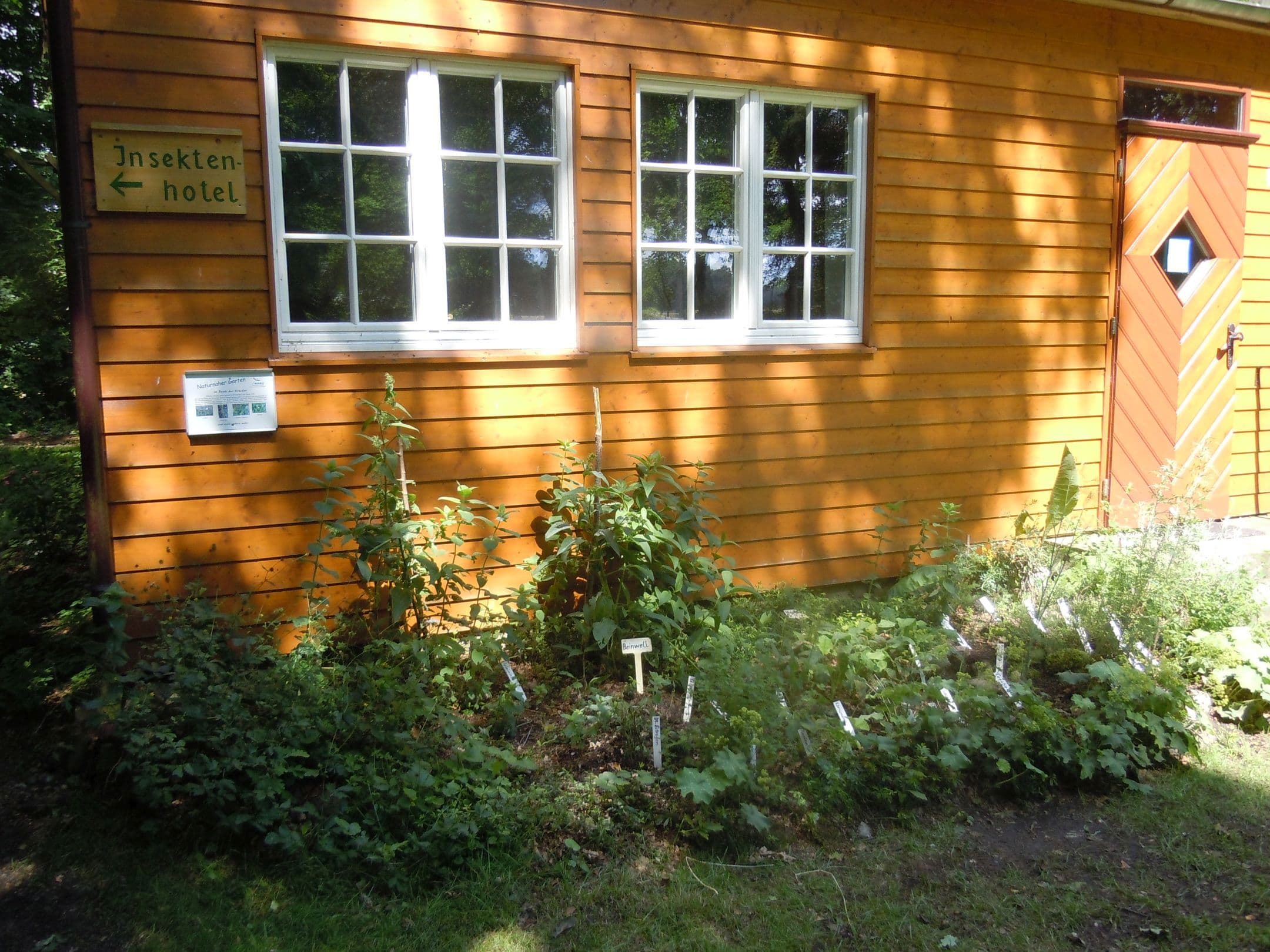 Kräuter für Küche und Garten wachsen auf dem Kräuterbeet vorm Haus-