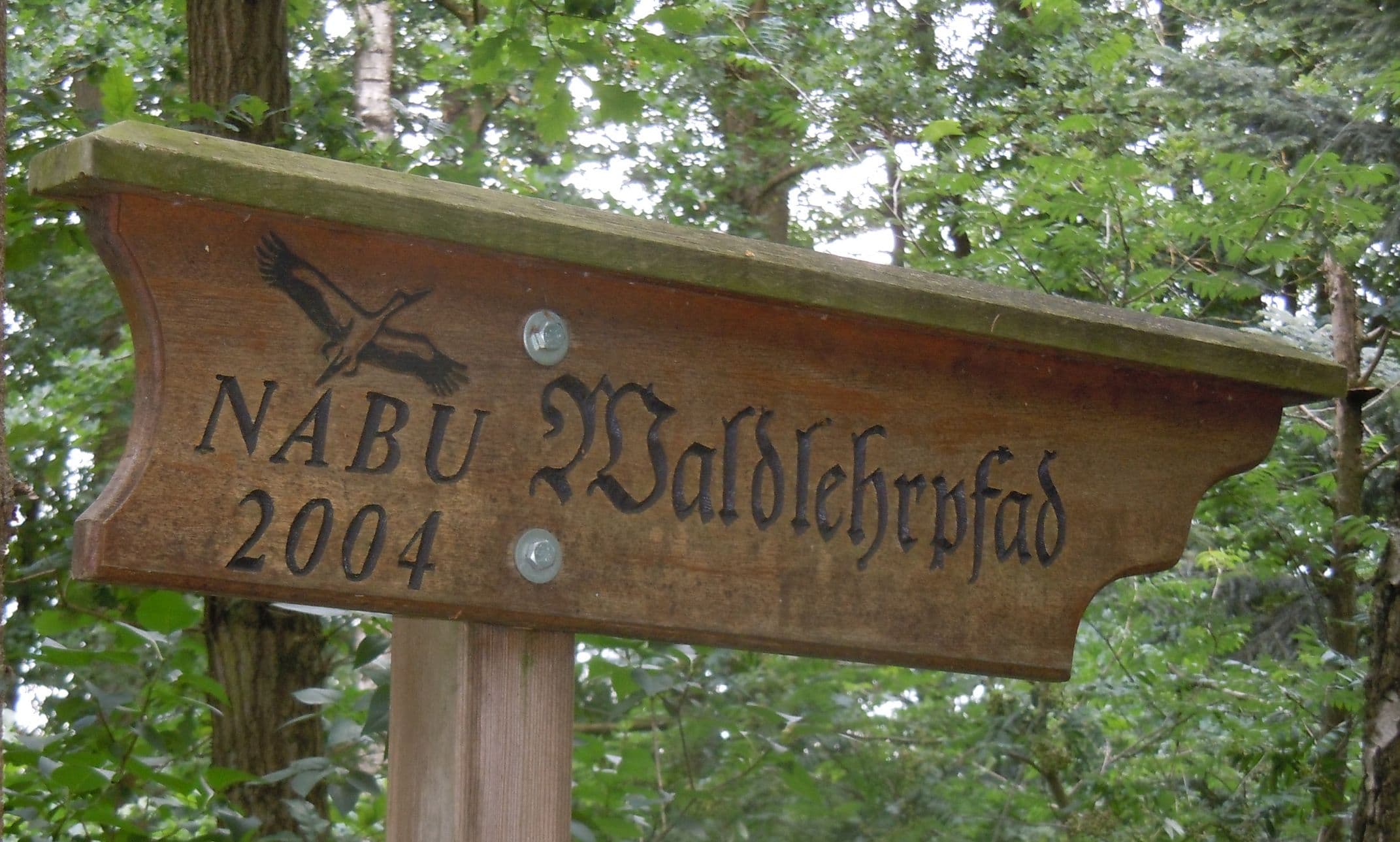Rund um einen aufgelassenen Fischteich und eine kleine Ötzewiese führt ein Waldweg an beschilderten Bäumen und Sträuchern entlang.