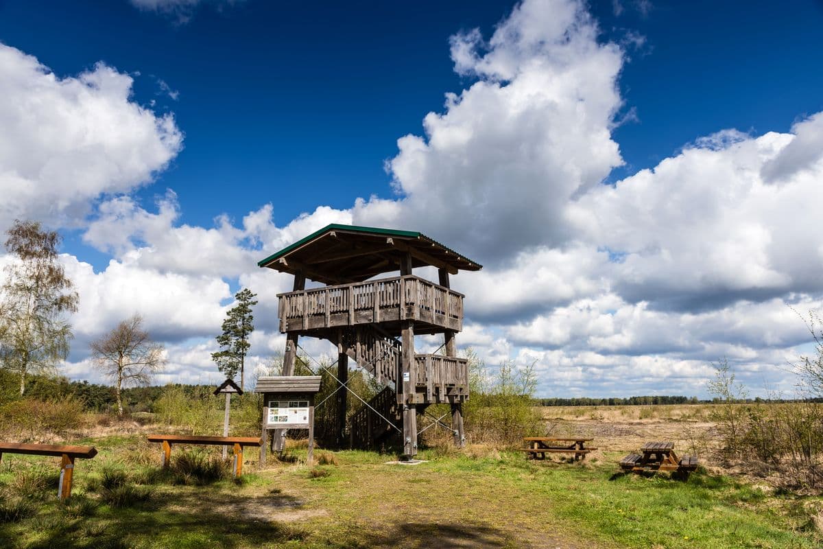 Becklinger Moor bei Becklingen